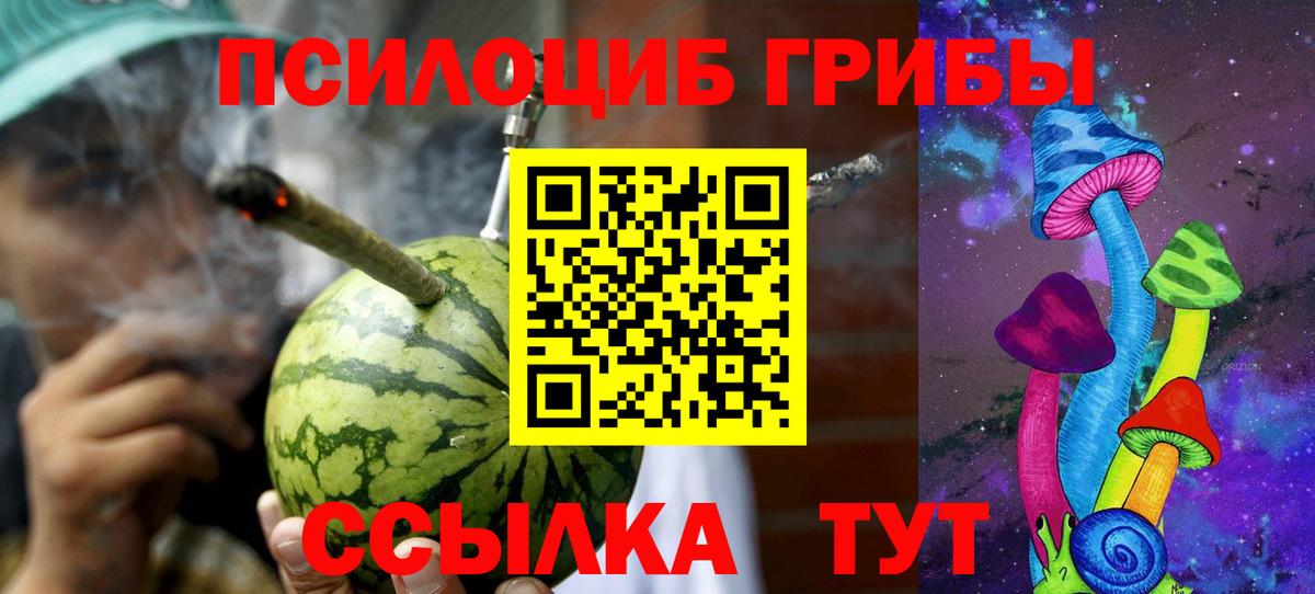 Псилоцибиновые грибы MAGIC MUSHROOMS Михайловск