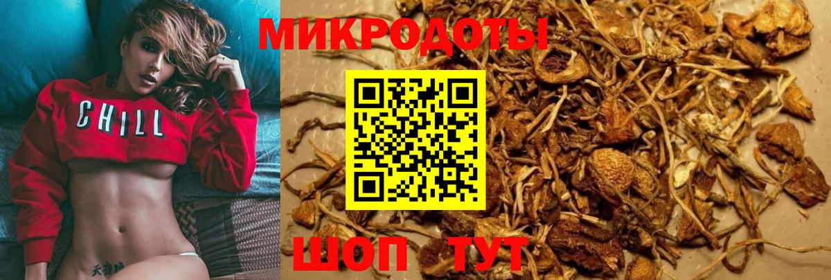Галлюциногенные грибы мицелий  Вход с VPN  Псилоцибиновые грибы мицелий  где продают наркотики  Михайловск 
